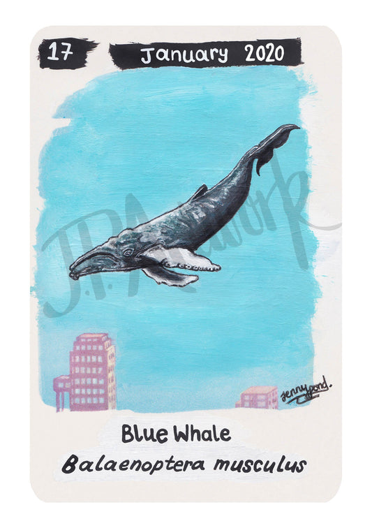 Blue Whale Limited Edition A5 Hemp Paper Print by Jenny Pond, JPArtwork