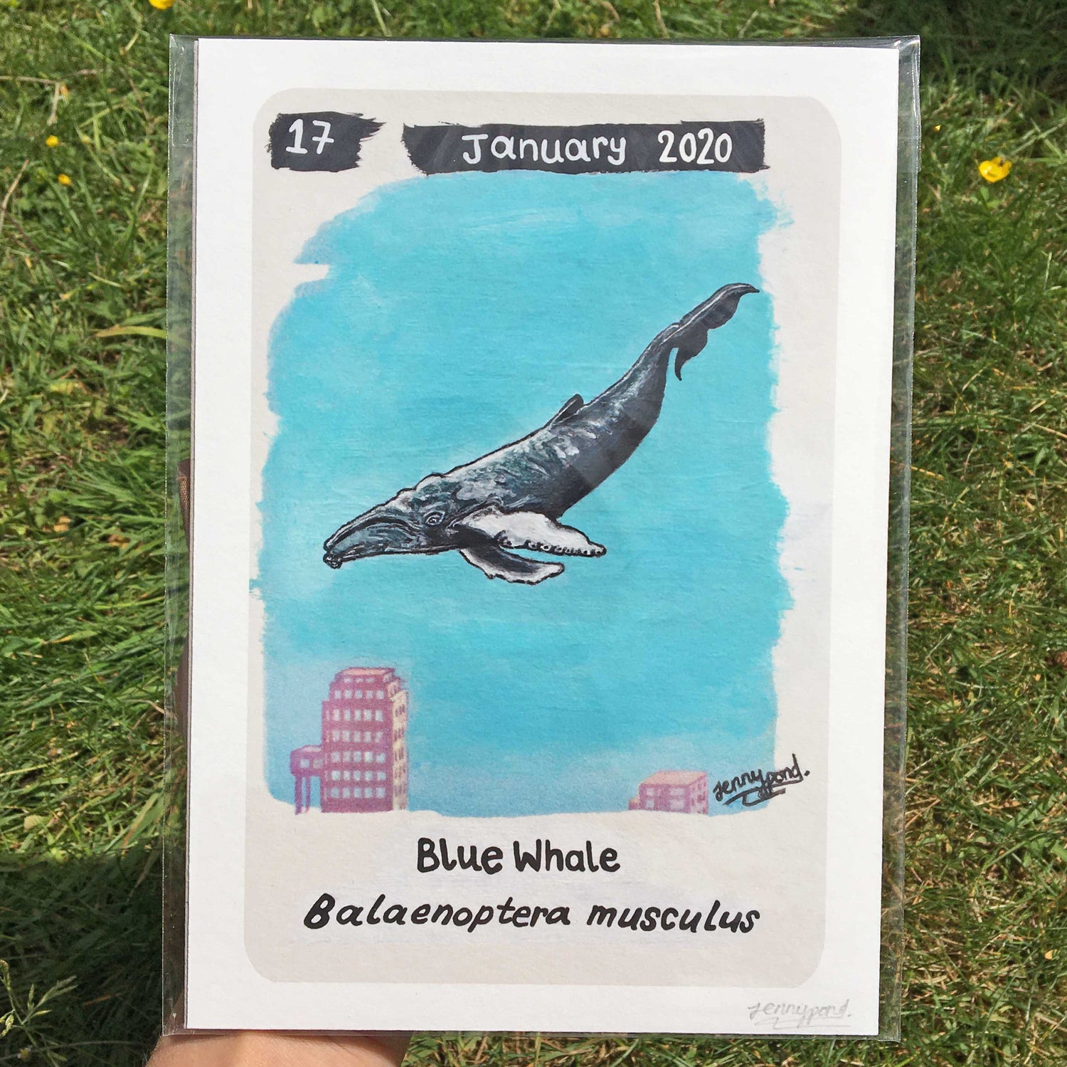 Blue Whale Limited Edition A5 Hemp Paper Print by Jenny Pond, JPArtwork