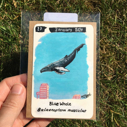 Blue Whale Original Painting by Jenny Pond, JPArtwork