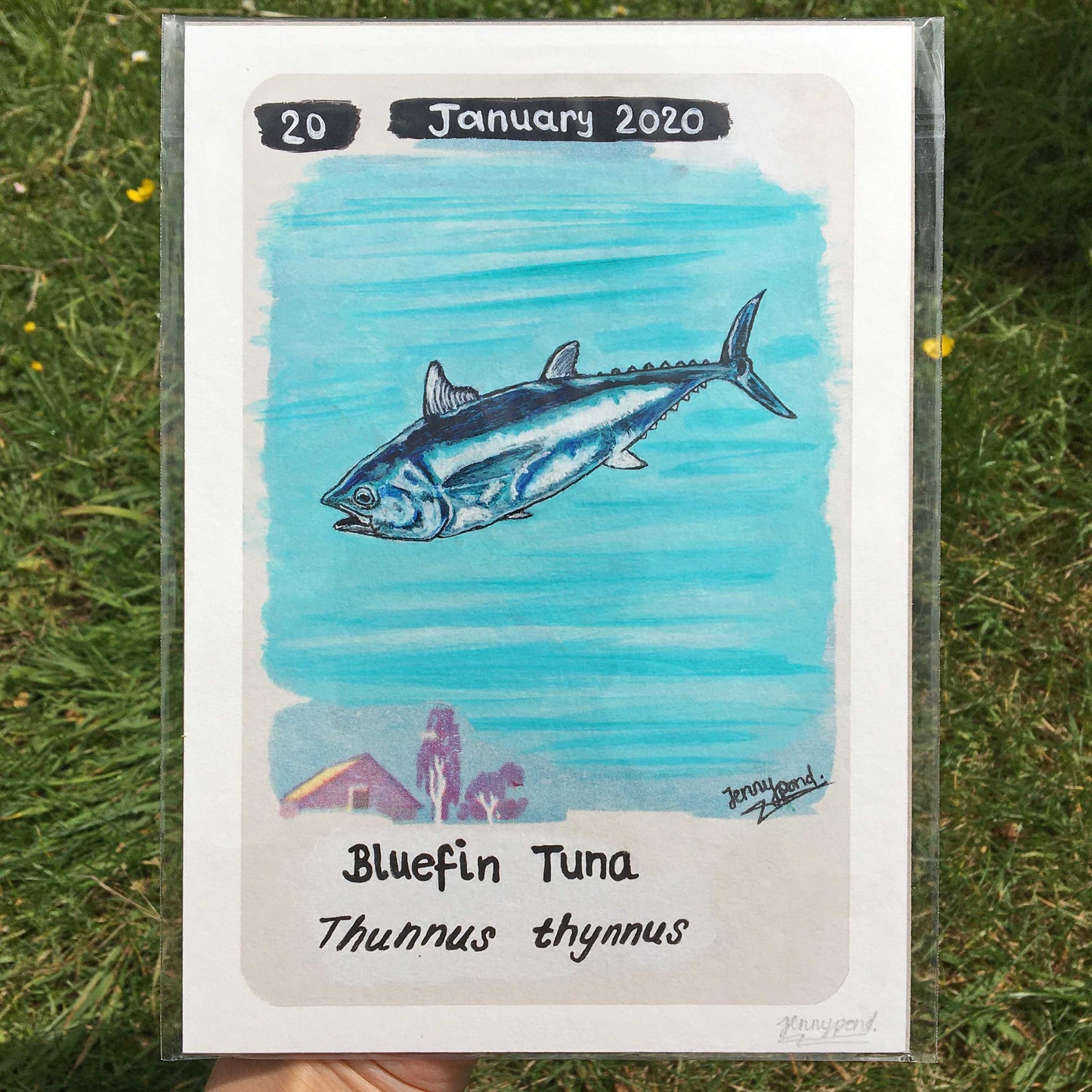 Bluefin Tuna Limited Edition A5 Hemp Print Paper by Jenny Pond, JPArtwork