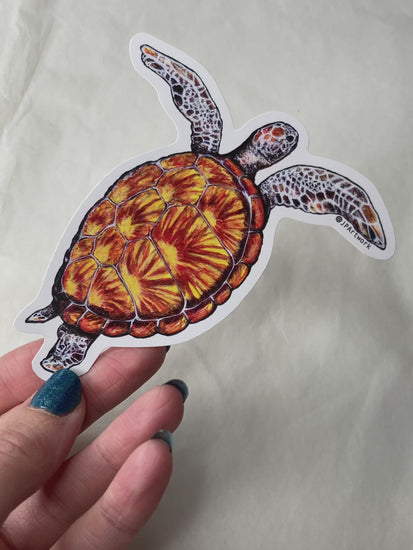 Sea Turtle Vinyl Sticker Die Cut by Jenny Pond