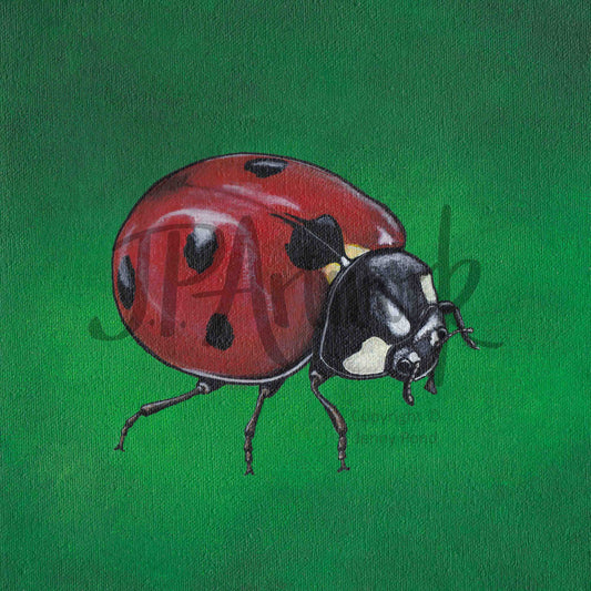 Art Print featuring a Ladybird on a green background. Artwork by Jenny Pond, JPArtwork