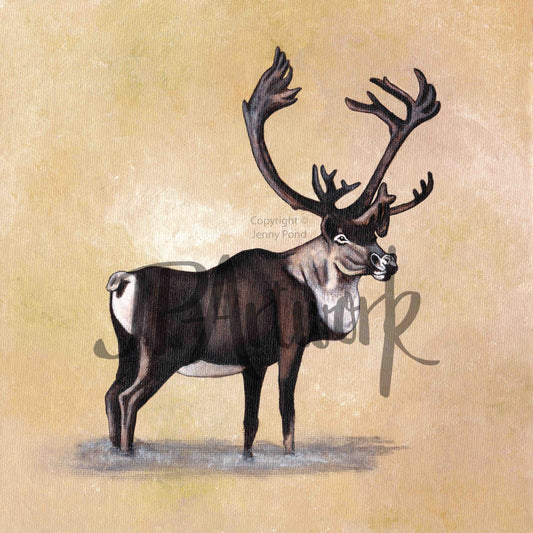 Art Print featuring a Reindeer on a light brown background. Artwork by Jenny Pond, JPArtwork