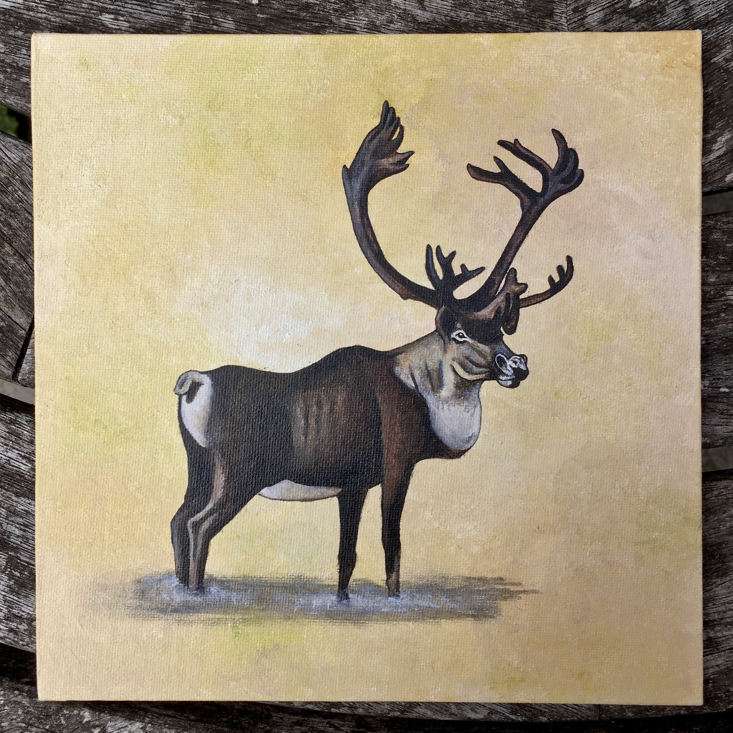 Caribou Reindeer Original Fine Art Acrylic Painting by Jenny Pond
