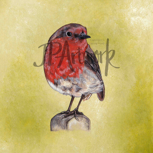 Robin Art Print featuring a Robin on a green background. Artwork by Jenny Pond, JP Artwork