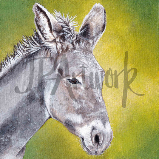 'Donkey' | Art Print art print 8x8" JPArtwork Jenny Pond