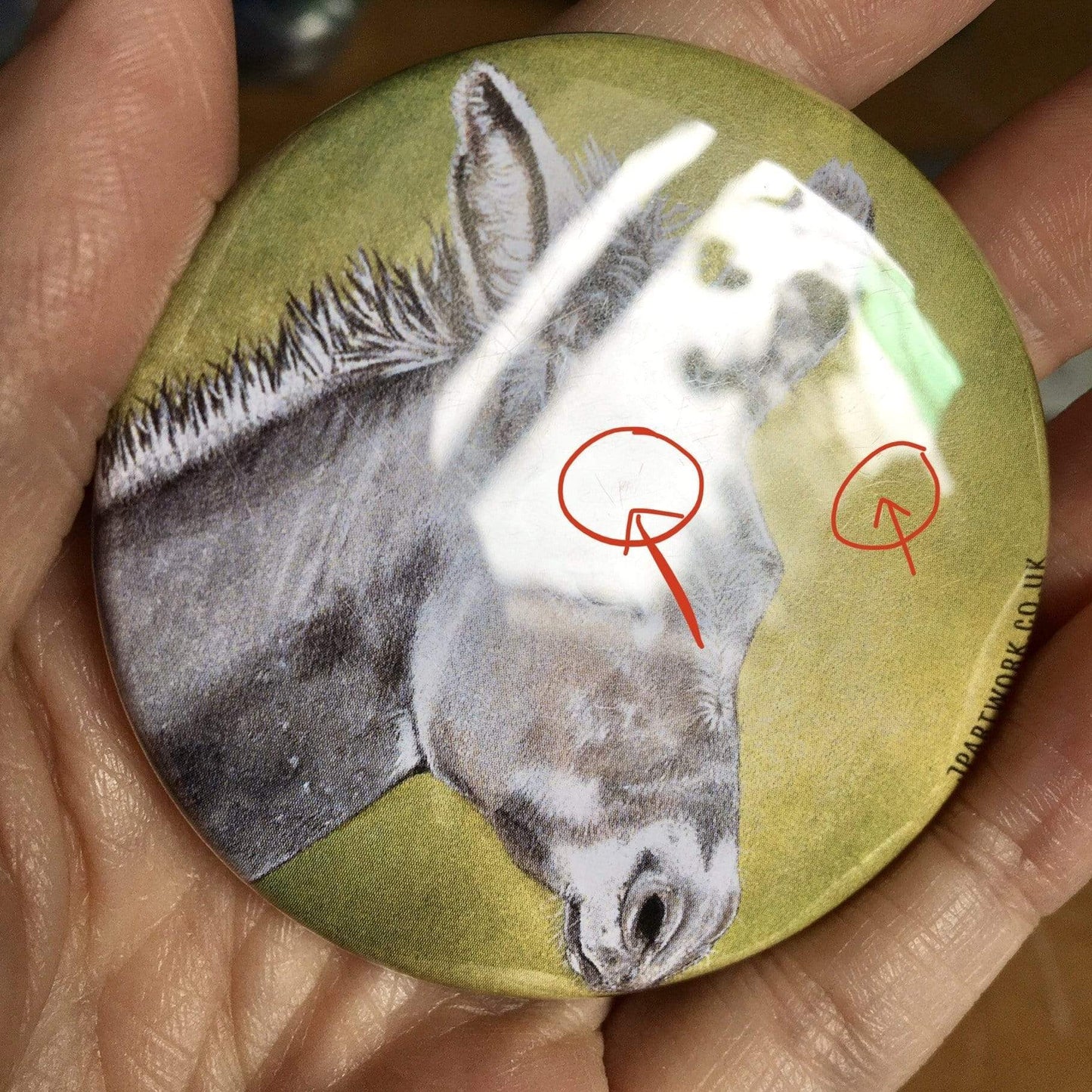 Donkey | Magnet, 58mm | SECONDS (Minor Imperfections) magnet JPArtwork Jenny Pond