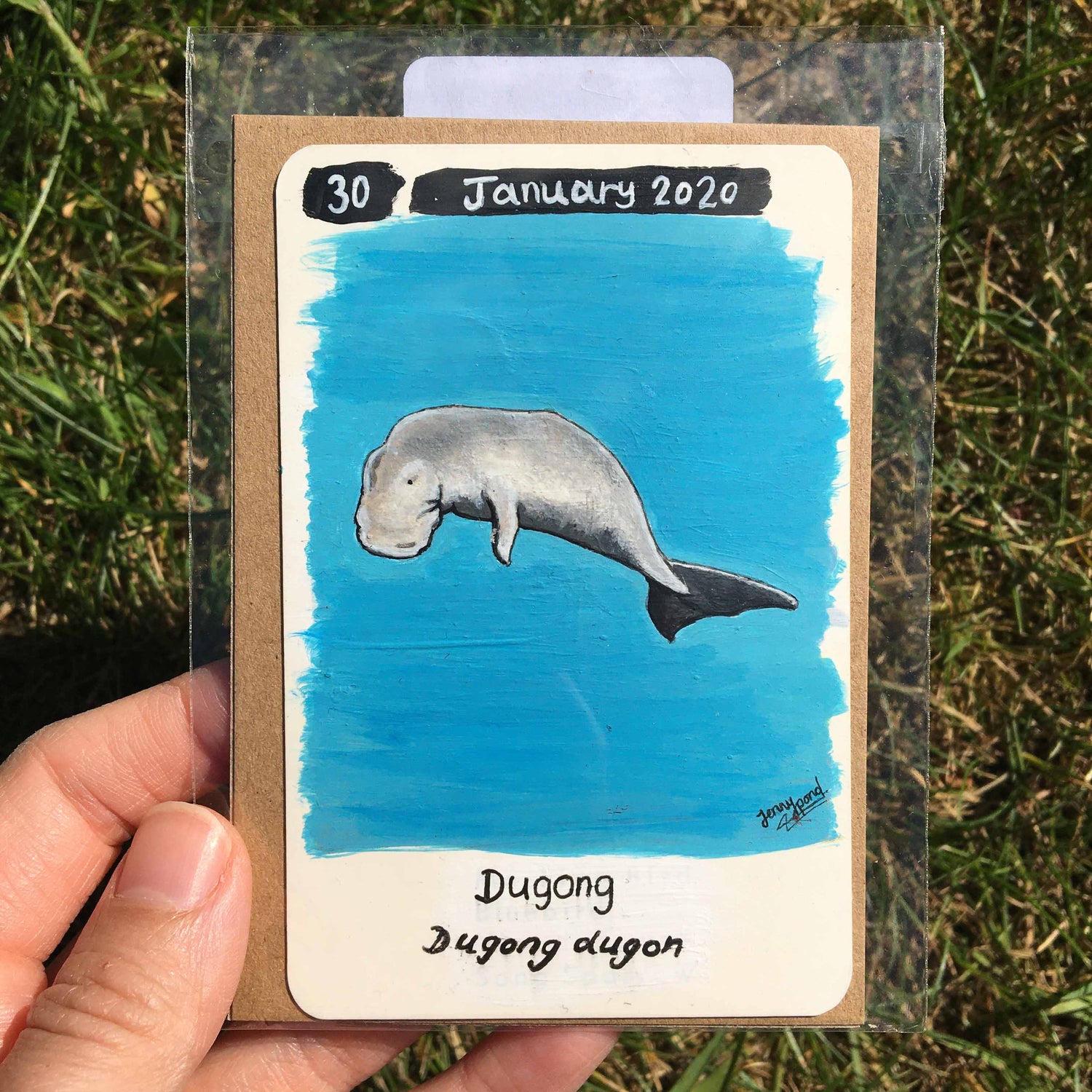 Dugong Original Painting by Jenny Pond by JPArtwork