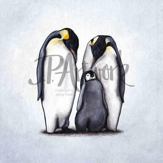 Art print of a penguin family with two parents looking at their new baby. Art from an original Acrylic painting by Jenny Pond, JP Artwork