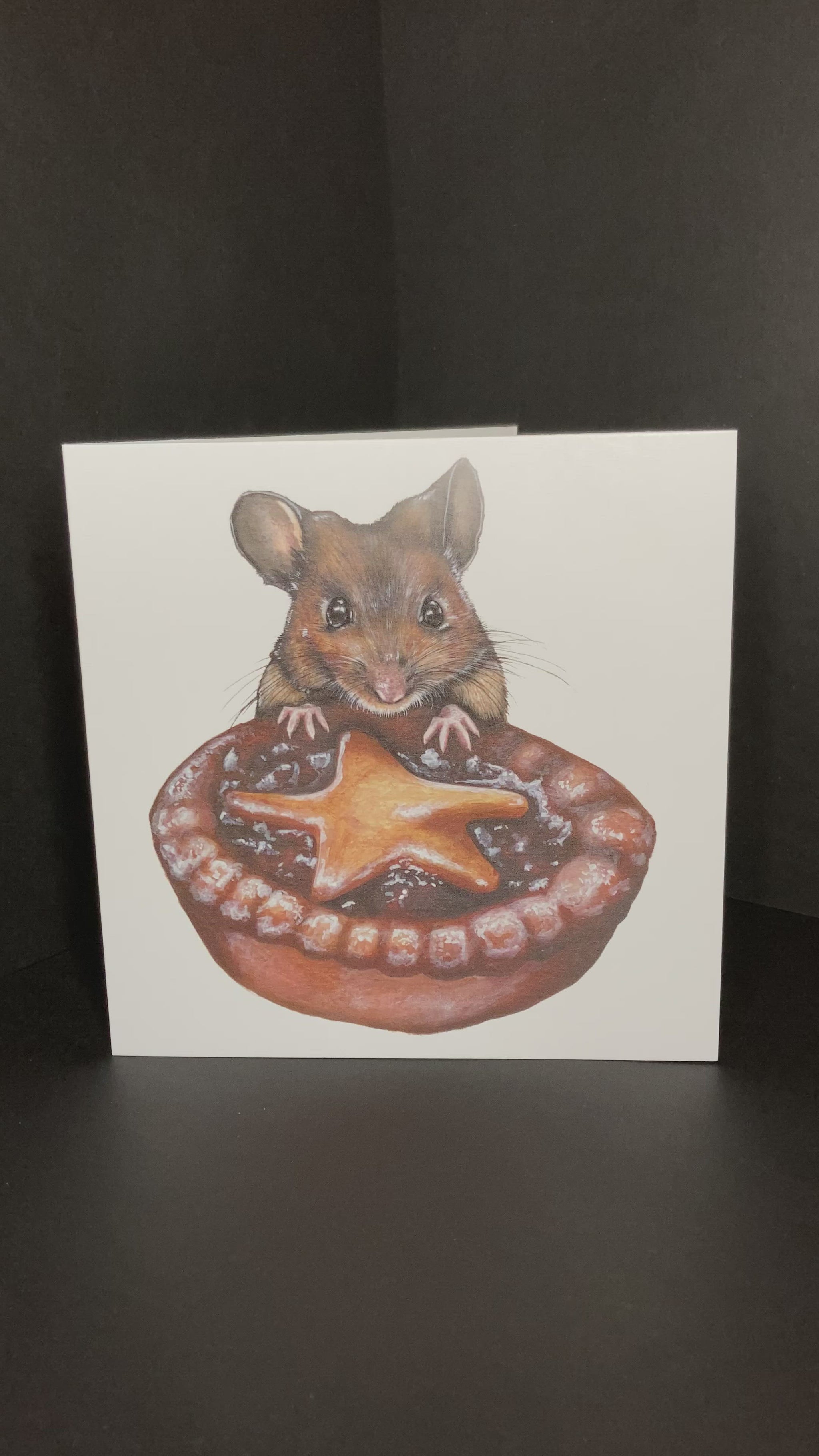 Mouse with Mince Pie Christmas Greetings Card Video