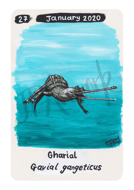 Gharial Limited Edition A5 Hemp Paper Print by Jenny Pond, JPArtwork
