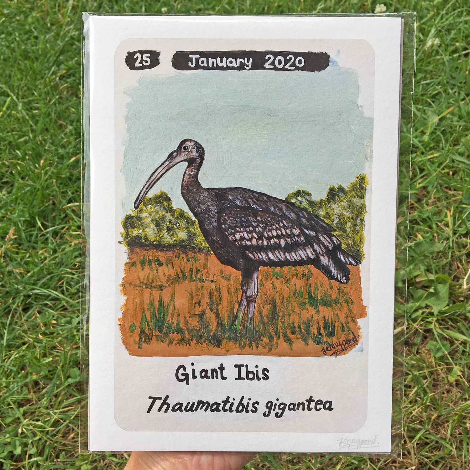 Giant Ibis | Art Print art print JPArtwork Jenny Pond