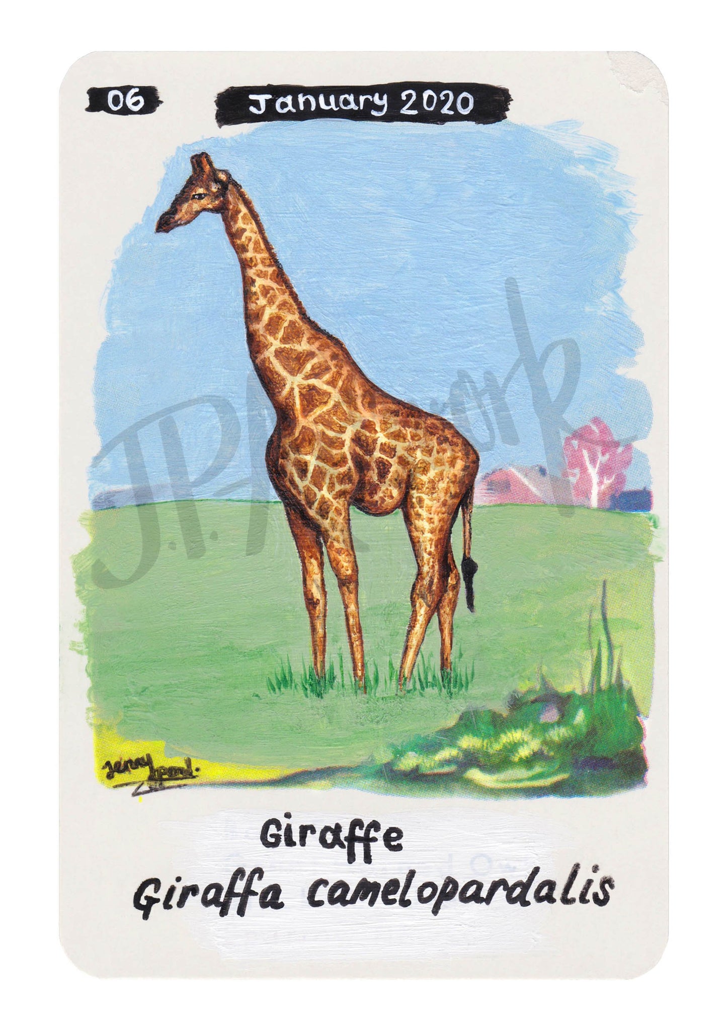 Giraffe Limited Edition A5 Hemp Paper Print by Jenny Pond, JPArtwork
