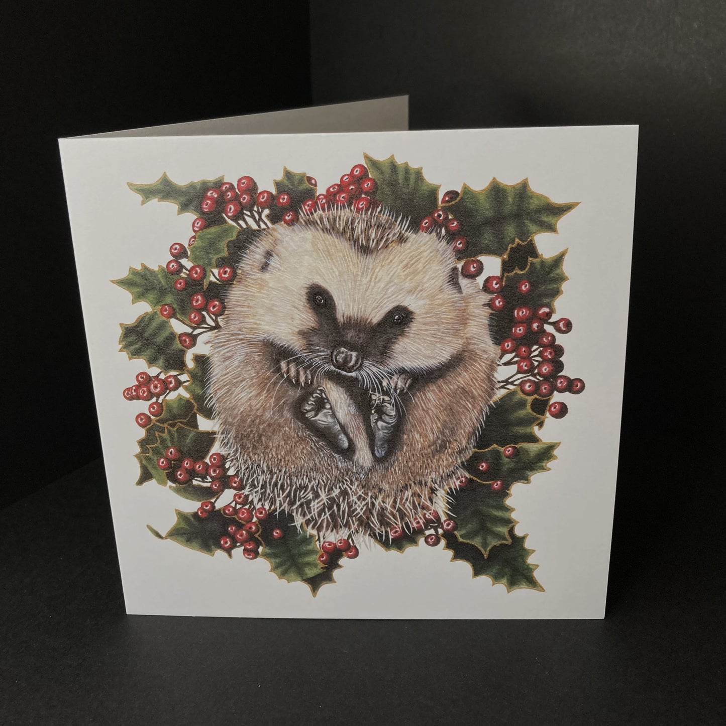 Hedgehog Christmas Greetings Card