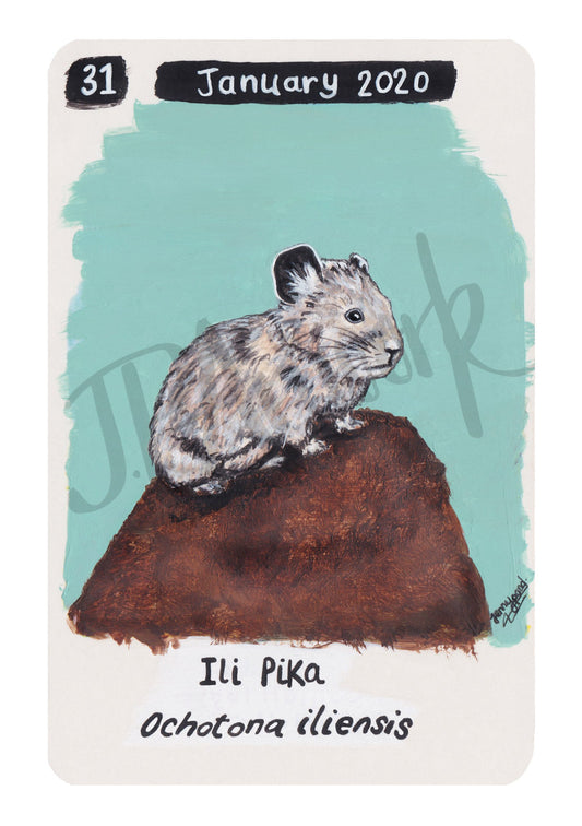 Ili Pika Limited Edition A5 Hemp Paper Print by Jenny Pond, JPArtwork