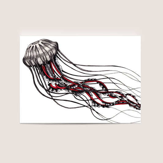 Jellyfish Mini Print/Postcard, Artwork by Jenny Pond