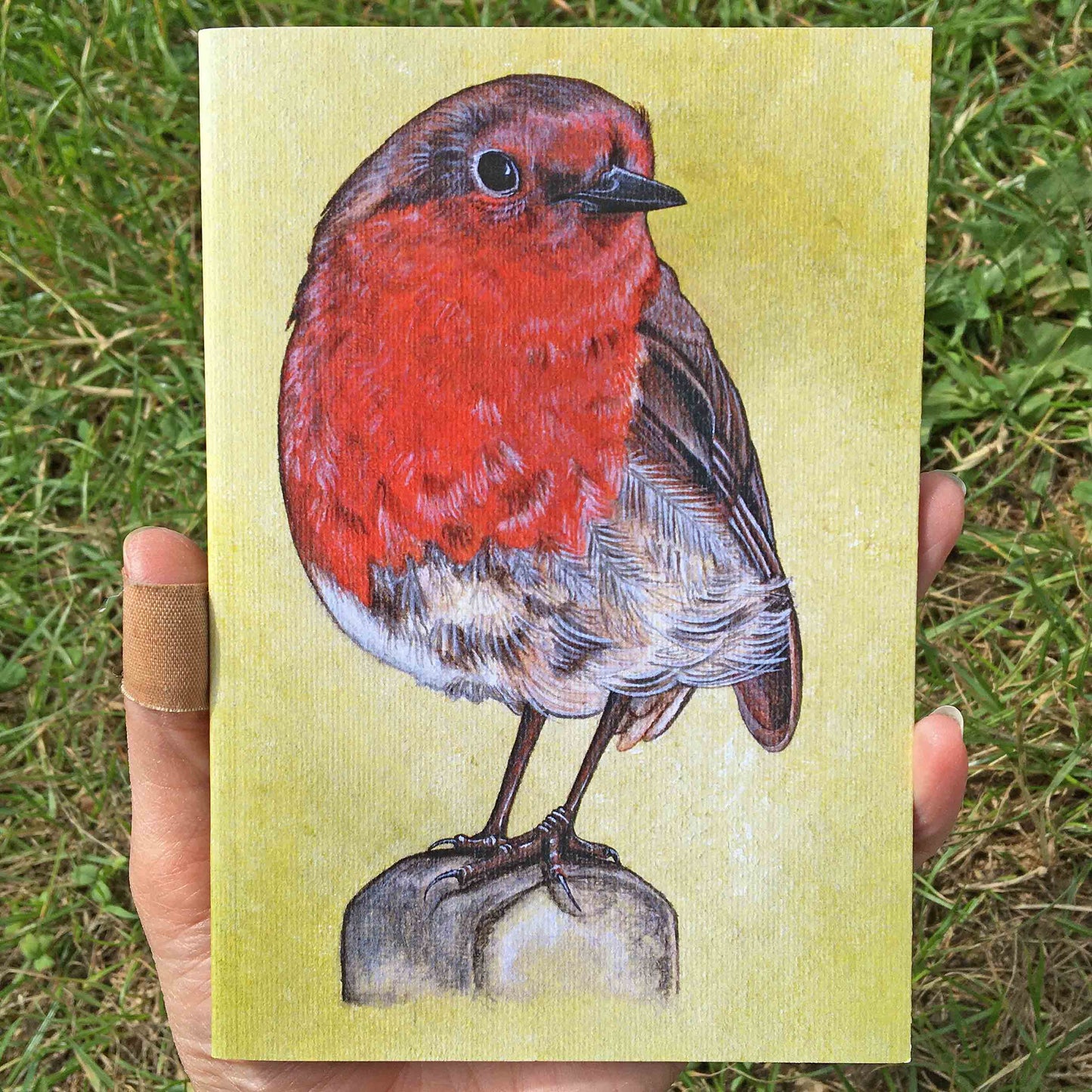 Robin A6 Journal Front Cover