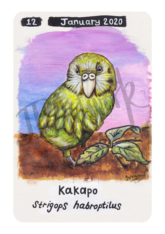 Kakapo Official A5 Print on Hemp Paper by Jenny Pond, JPArtwork