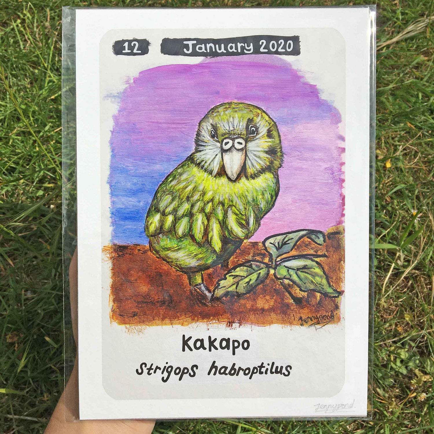 Kakapo Official A5 Print on Hemp Paper by Jenny Pond, JPArtwork