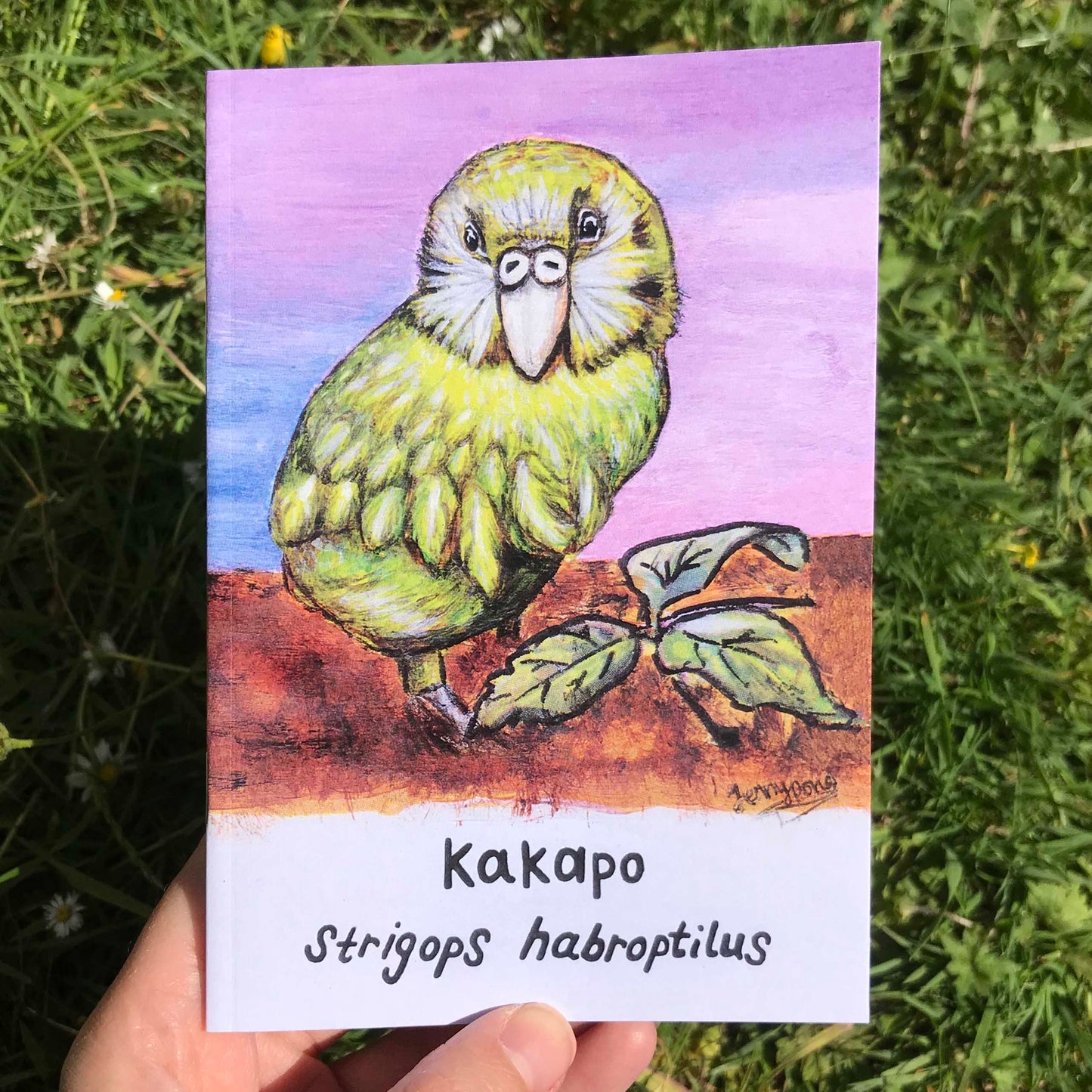 Kakapo Journal | A6, Plain or Lined journal JPArtwork Jenny Pond