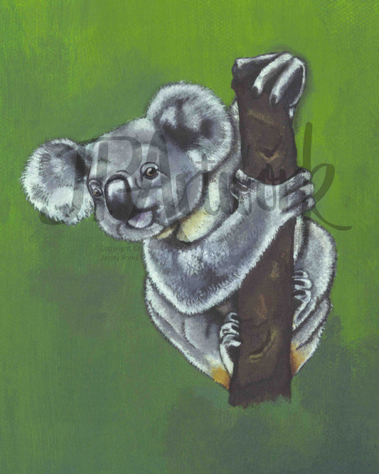 Koala Art Print featuring a koala holding onto a branch with a green background. Artwork by Jenny Pond, JP Artwork