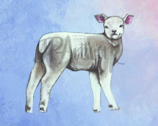 Lamb Art Print featuring a lamb on a blue and pink background. Artwork by Jenny Pond, JP Artwork