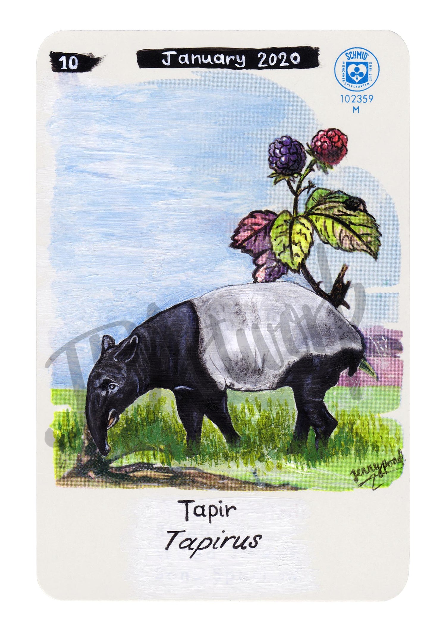Malayan Tapir Limited Edition A5 Hemp Paper Print by Jenny Pond, JPArtwork