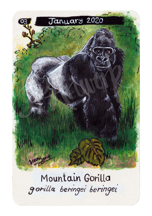 Mountain Gorilla Limited Edition A5 Hemp Paper Print by Jenny Pond, JPArtwork