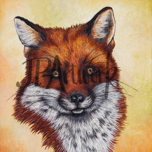 'Mr Fox' | Art Print art print 8x8" JPArtwork Jenny Pond