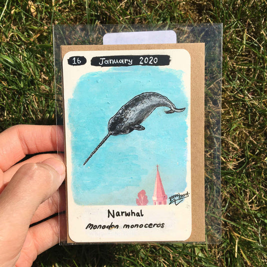 Narwhal Original Painting by Jenny Pond, JPArtwork