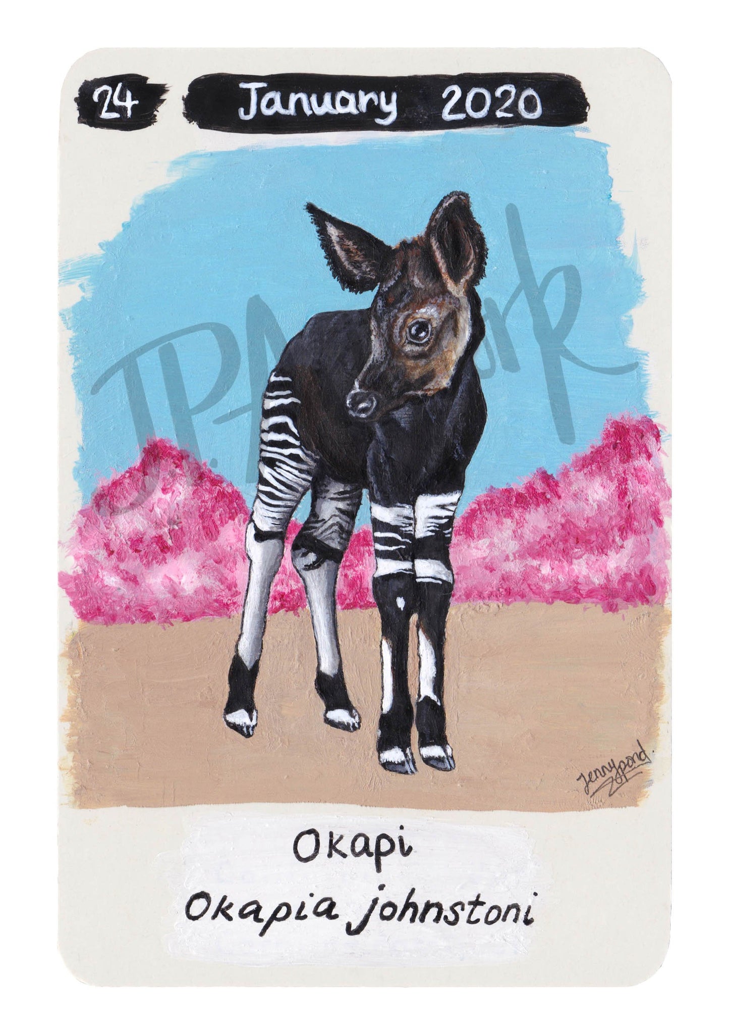 Okapi Limited Edition A5 Hemp Paper Print by Jenny Pond, JPArtwork
