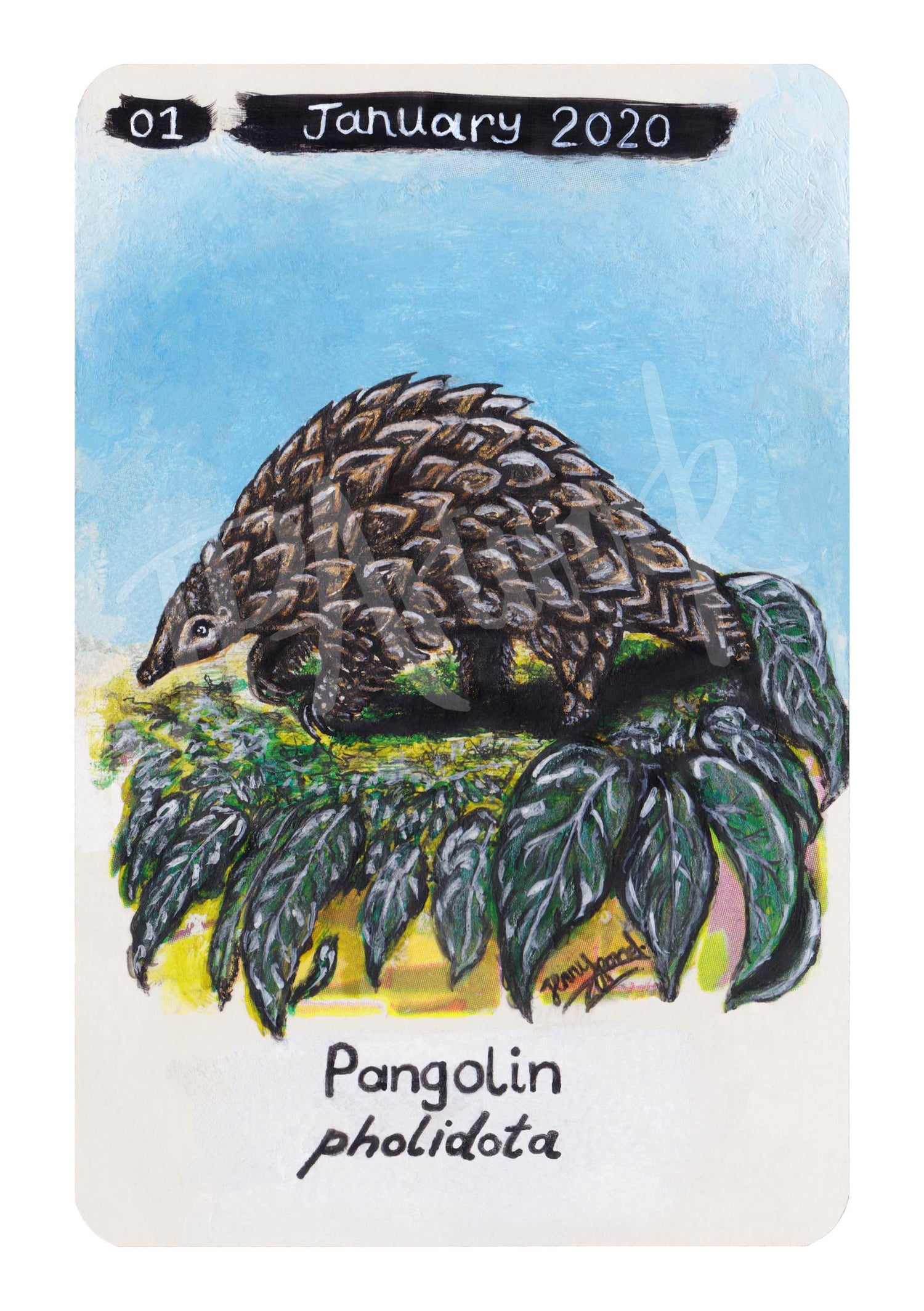Pangolin Limited Edition A5 Hemp Paper Print by Jenny Pond, JPArtwork