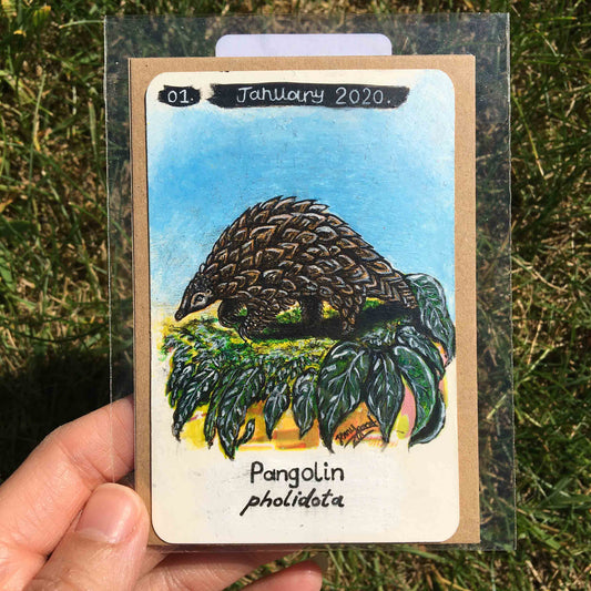 Pangolin Original Painting by Jenny Pond, JPArtwork