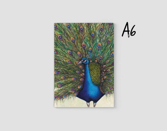 Peacock Journal | A6, Plain or Lined journal JPArtwork Jenny Pond