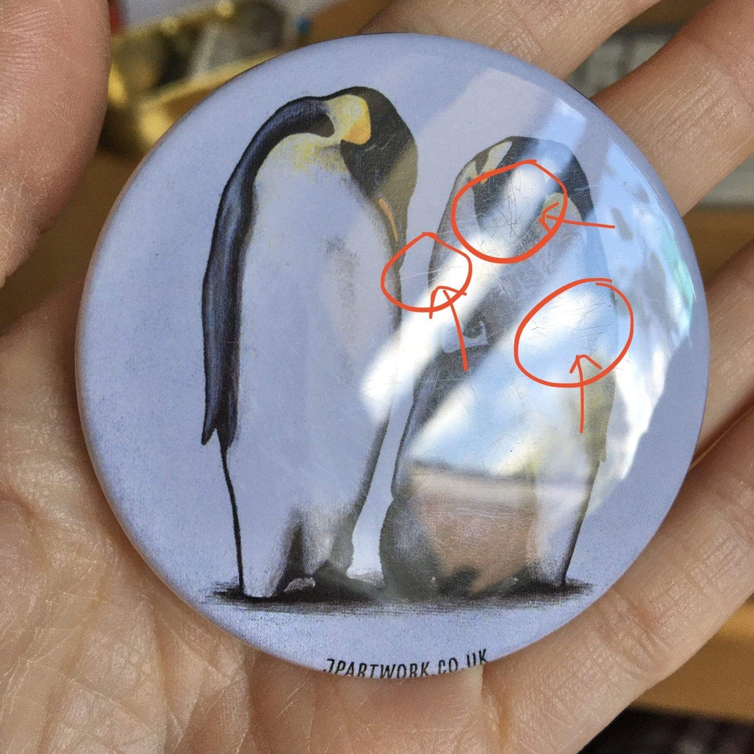 Penguin | Magnet, 58mm | SECONDS (Minor Imperfections) magnet JPArtwork Jenny Pond