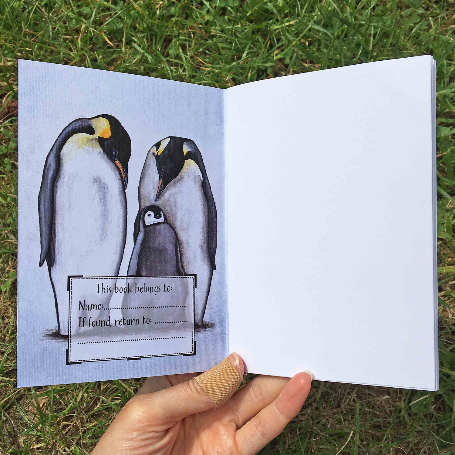 Penguin A6 Journal Plain Paper