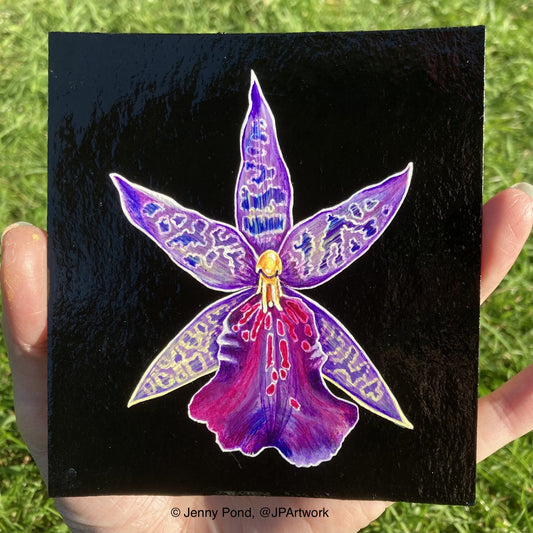 Purple Orchid on a black Glossy Background, Original Painting by Jenny Pond