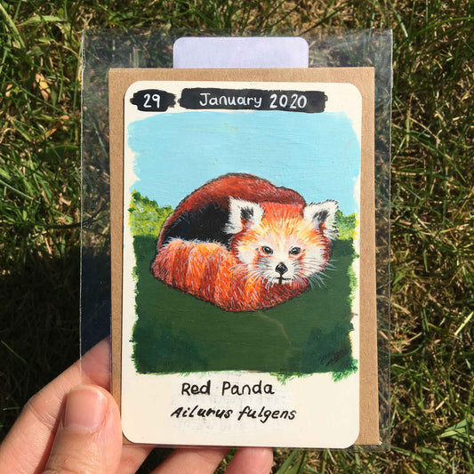 Red Panda Original Painting by Jenny Pond, JPArtwork