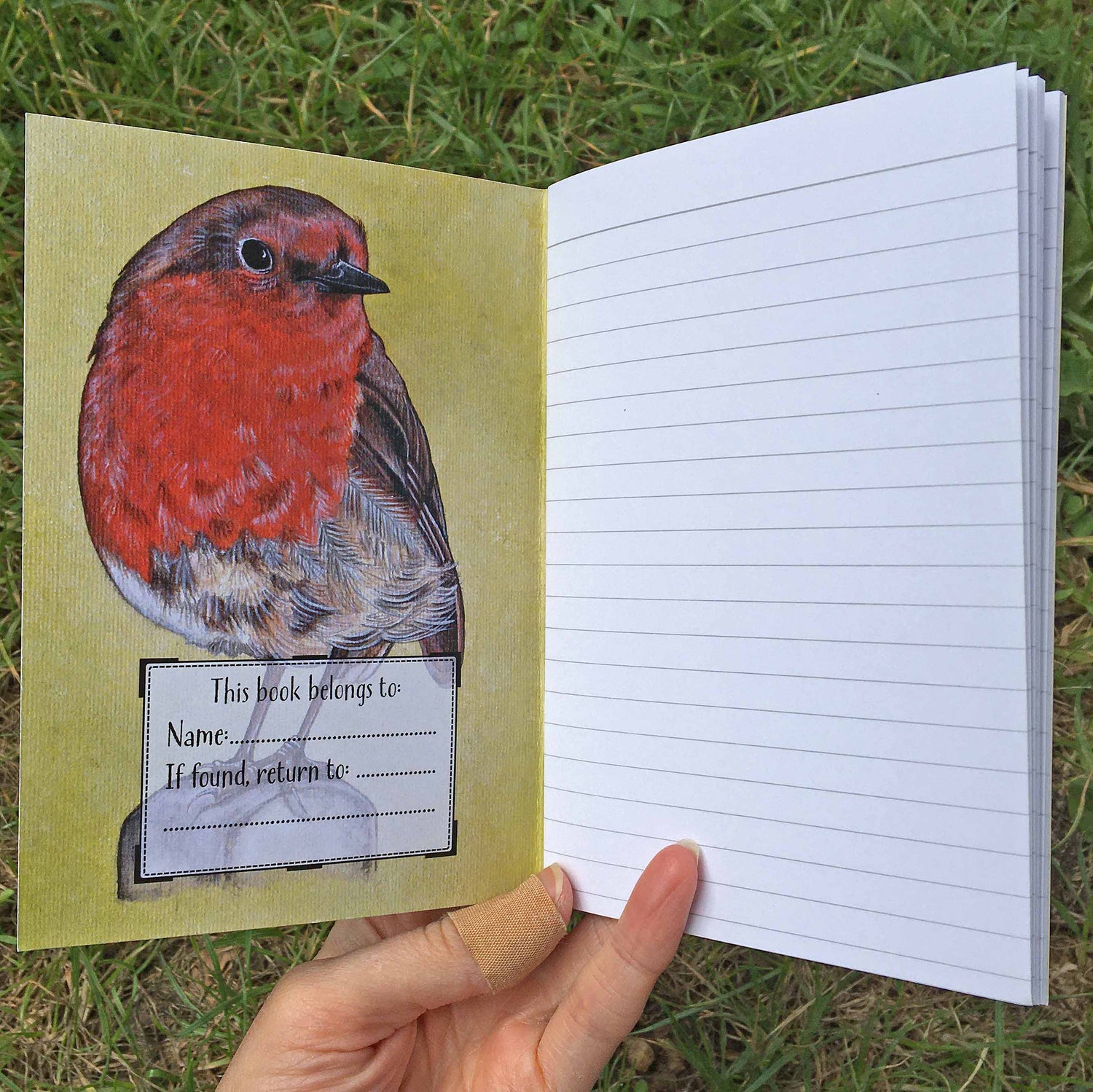Robin Journal | A6, Plain or Lined journal Lined JPArtwork Jenny Pond