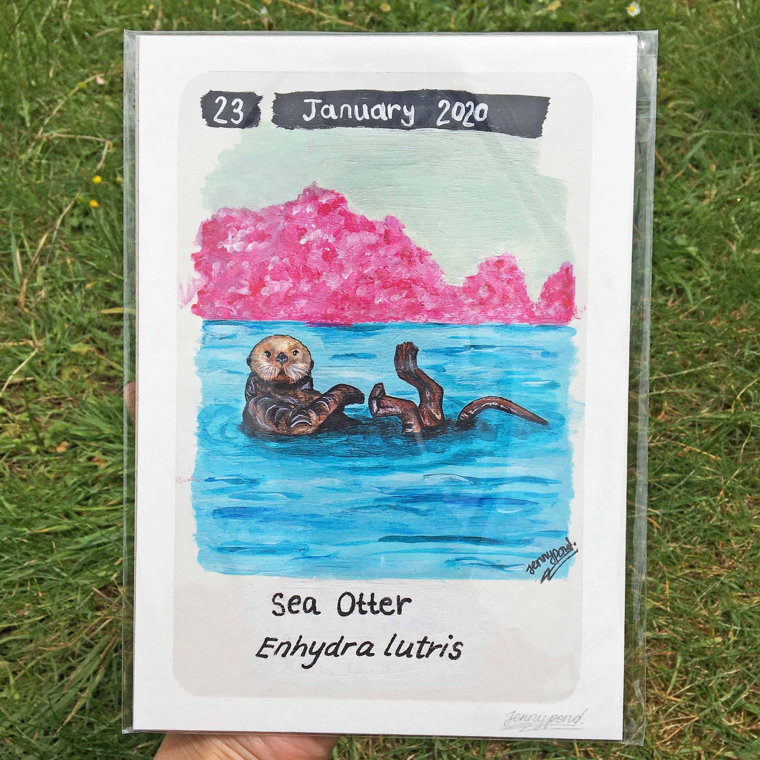 Sea Otter | Art Print art print JPArtwork Jenny Pond