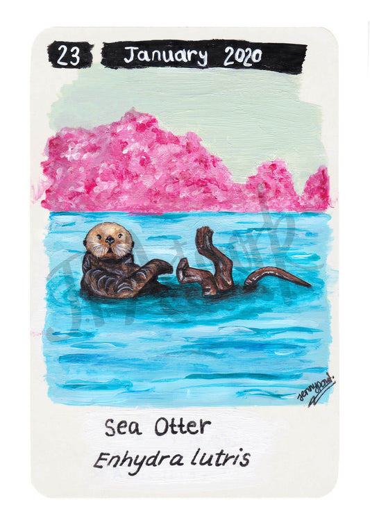 Sea Otter swimming upside down in blue water, with pink bushes in the background. The layout is like a playing card, with '23 January 2020' date across the top, and the name 'Sea Otter' and scientific name 'Enhydra lutris' at the bottom. This print is a Limited Edition A5 Hemp Paper Print by Jenny Pond, JP Artwork