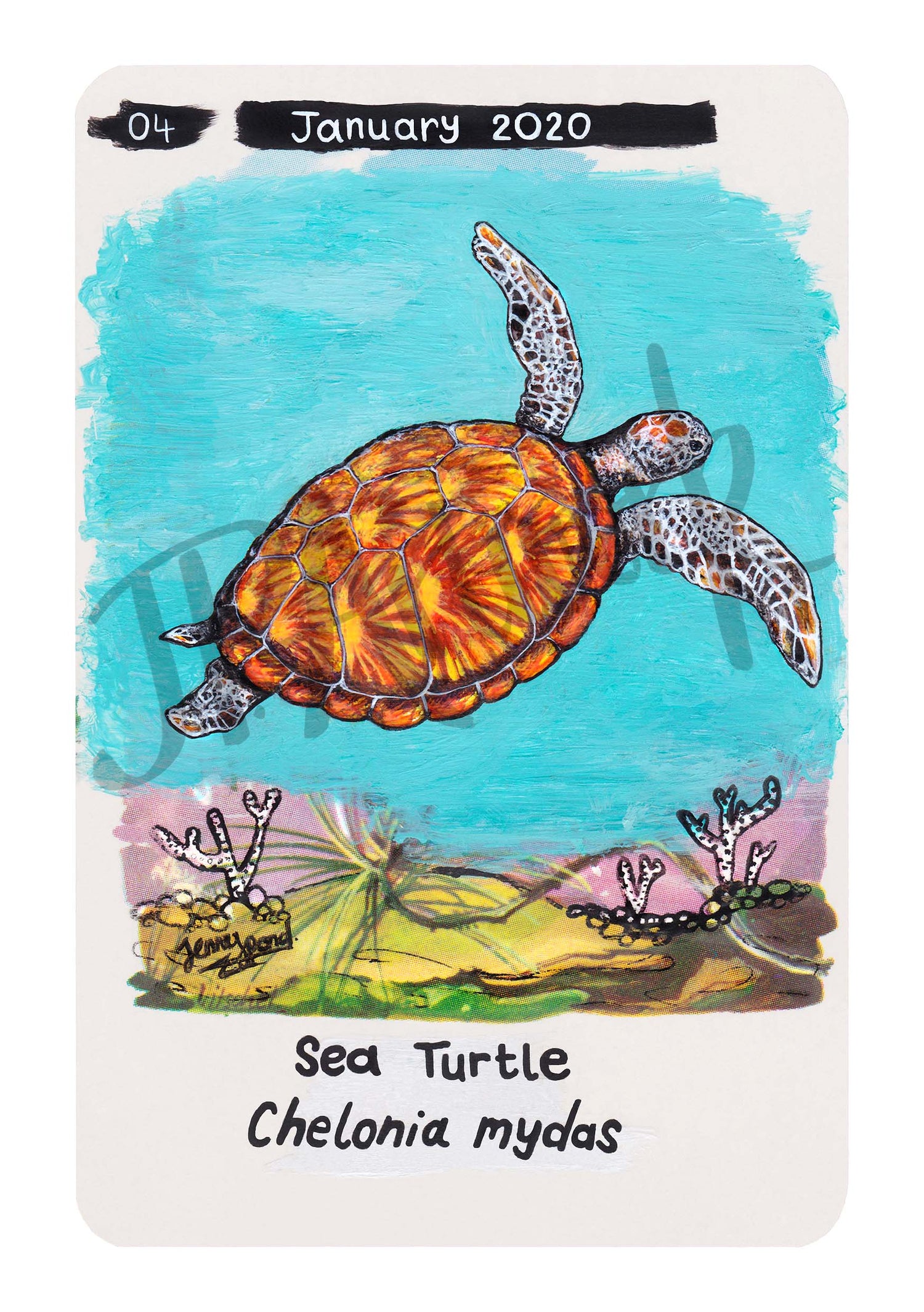 Sea Turtle Limited Edition A5 Hemp Paper Print by Jenny Pond, JPArtwork
