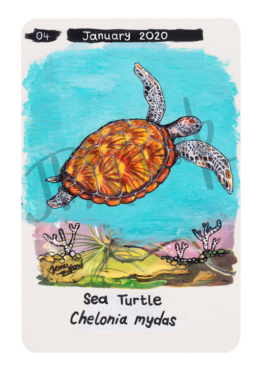 Sea Turtle Limited Edition A5 Hemp Paper Print by Jenny Pond, JPArtwork