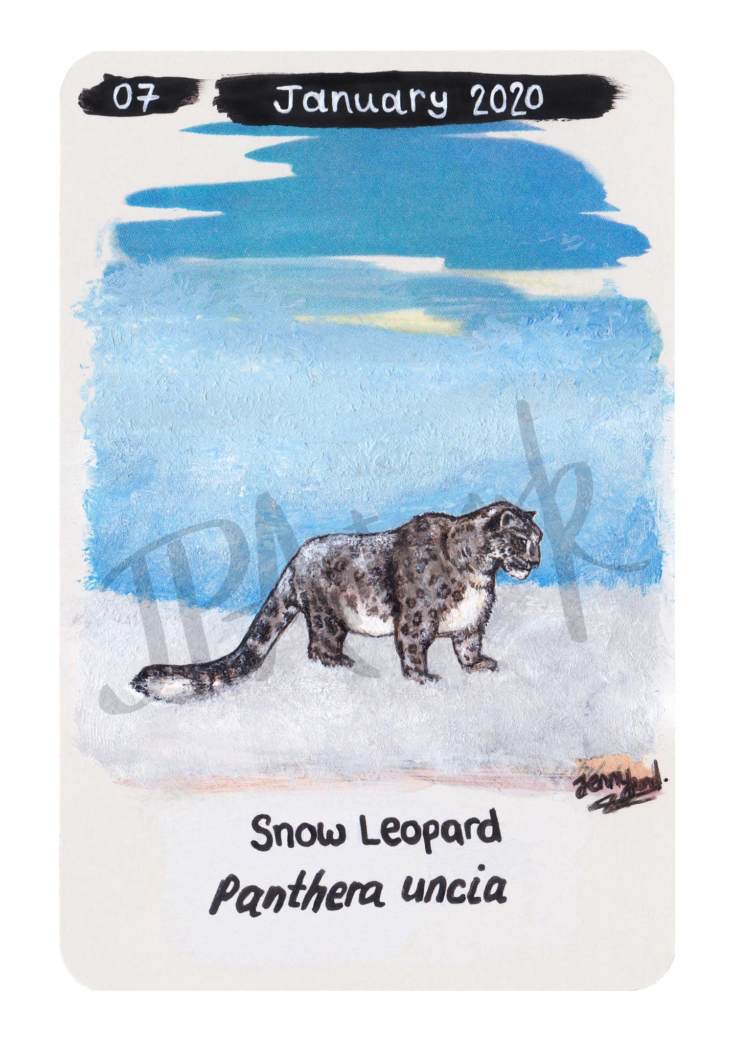 Snow Leopard Limited Edition A5 Hemp Paper Print by Jenny Pond , JPArtwork