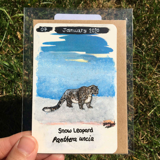 Snow Leopard Original Painting by Jenny Pond, JPArtwork