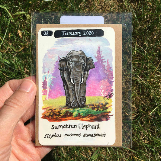 Sumatran Elephant Original Painting by Jenny Pond, JPArtwork