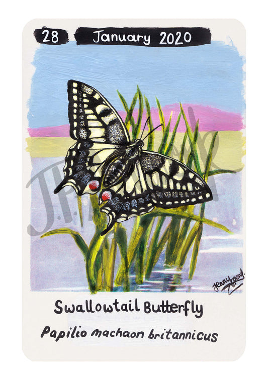 Swallowtail Butterfly Limited Edition A5 Hemp Paper Print by Jenny Pond, JPArtwork