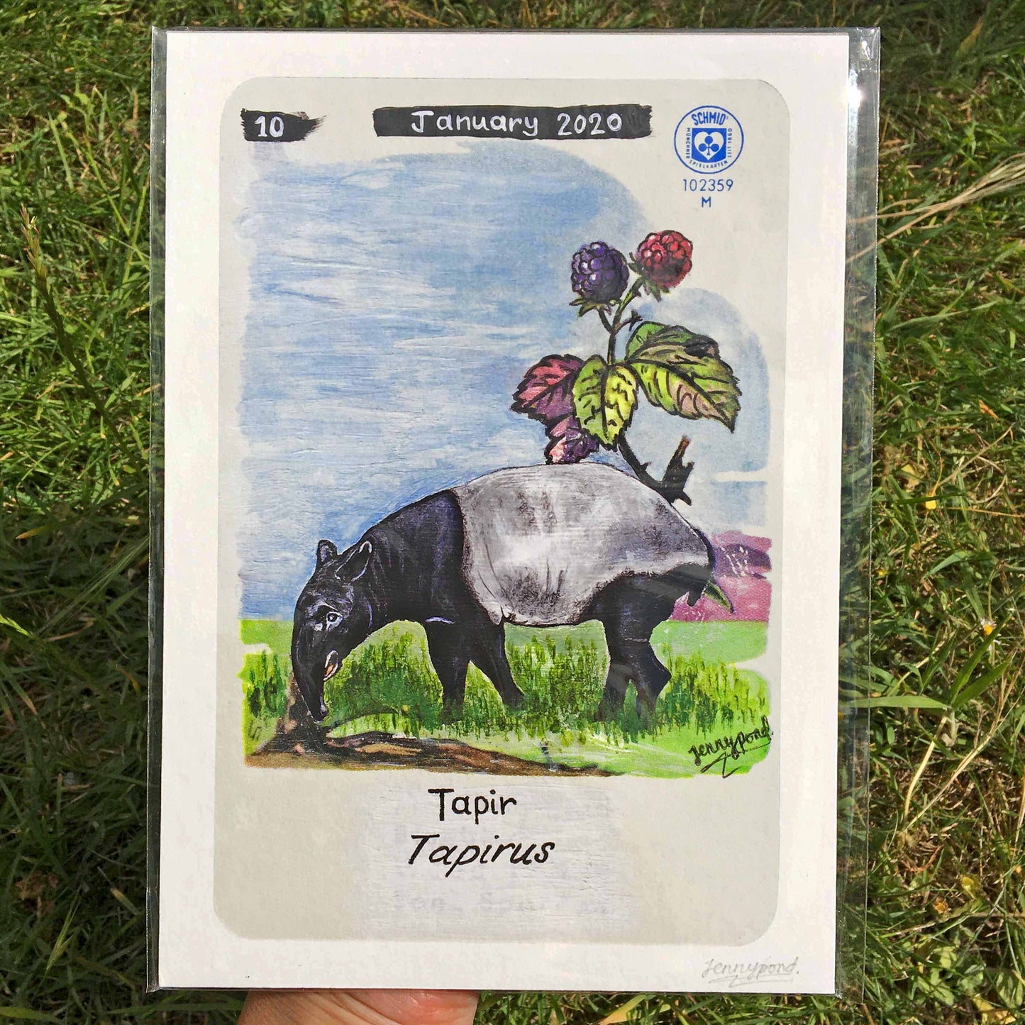 Tapir | Art Print art print JPArtwork Jenny Pond