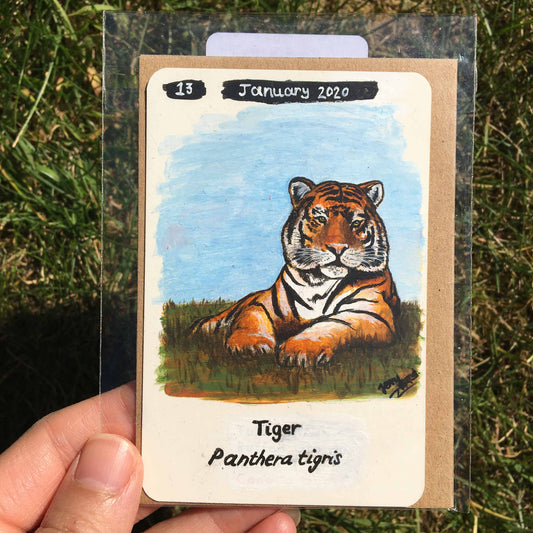 Tiger Original Painting by Jenny Pond, JPArtwork