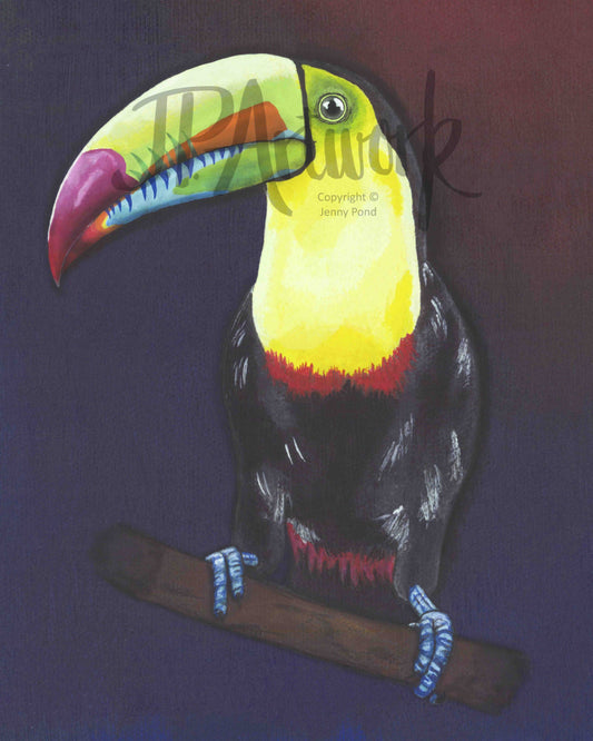 Toucan Art Print featuring a toucan perching on a branch with a deep blue and red background. Artwork by Jenny Pond, JP Artwork